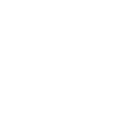 Ben Reinking The Developing Doctor Identify Act Reconnect logo