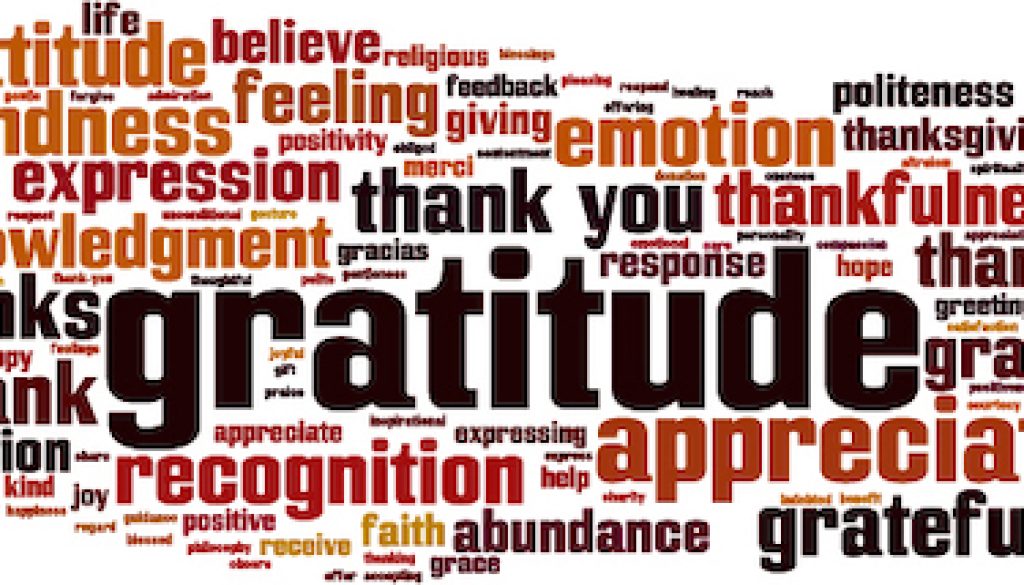 gratitude word cloud the developing doctor resilience medicine