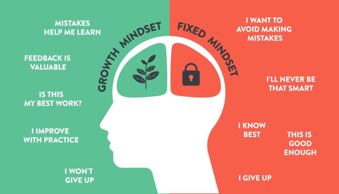 Growth mindset Fixed mindset Professional development The Developing Doctor Physician Coaching