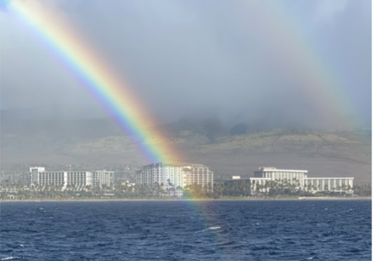 The-Developing-Doctor_Ben-Reinking_Iowa_About-rainbow