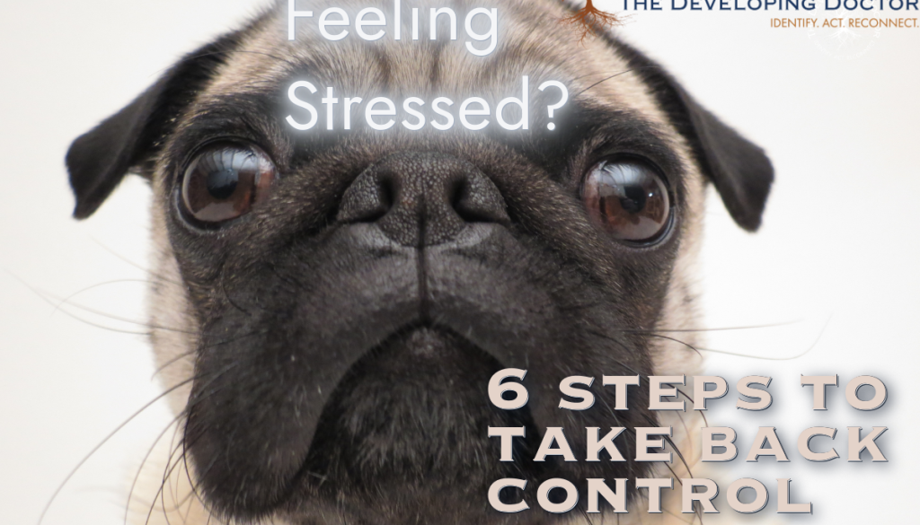 stress management how to control stress physician coaching the developing docotr