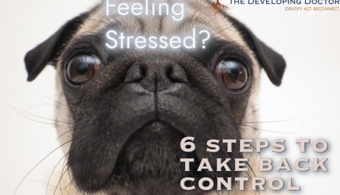 stress management how to control stress physician coaching the developing docotr
