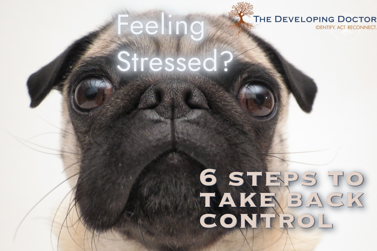 stress management how to control stress physician coaching the developing docotr