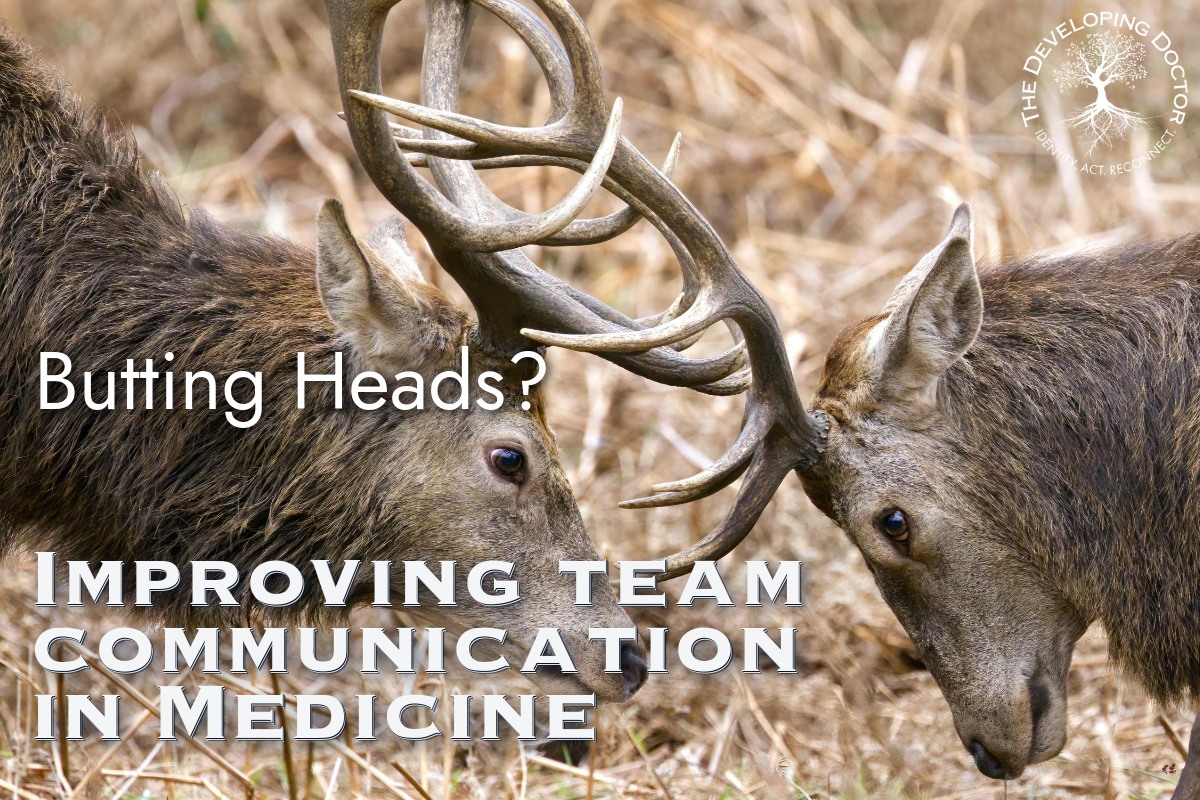 communication-in-medicine_the-developing-doctor_healthcare-teams_physician-coaching_medical-careers communication in medicine healthcare teams physician coaching the developing doctor