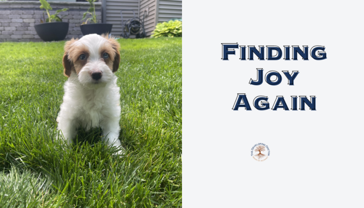 Rediscovering joy in medicine puppy george kittle burnout prevention