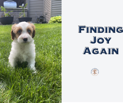 Rediscovering joy in medicine puppy george kittle burnout prevention