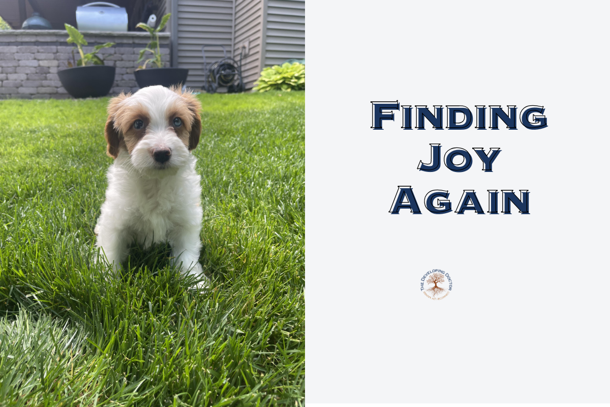 resdiscovering-joy_puppy_tibental-doodle_burnout-prevention-how-to-thrive-in-medicine Rediscovering joy in medicine puppy george kittle burnout prevention