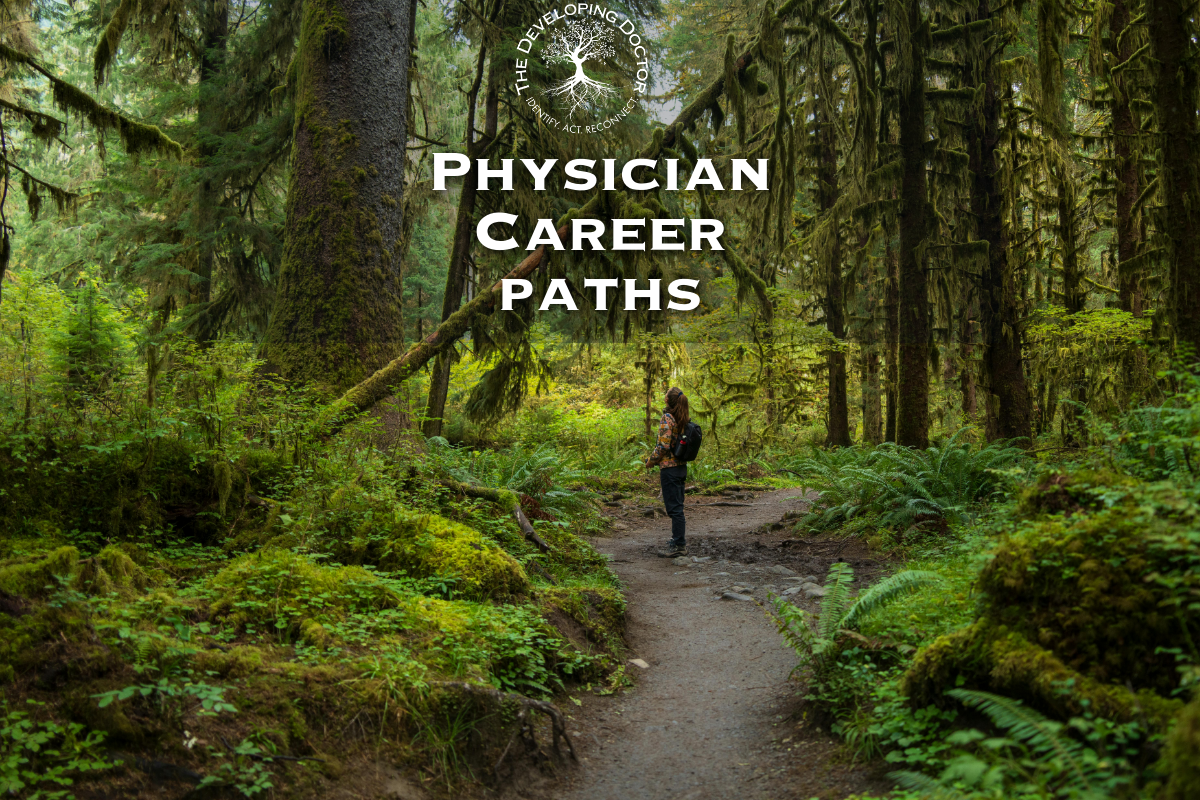 Phsyician career paths physician career options physician on a raod