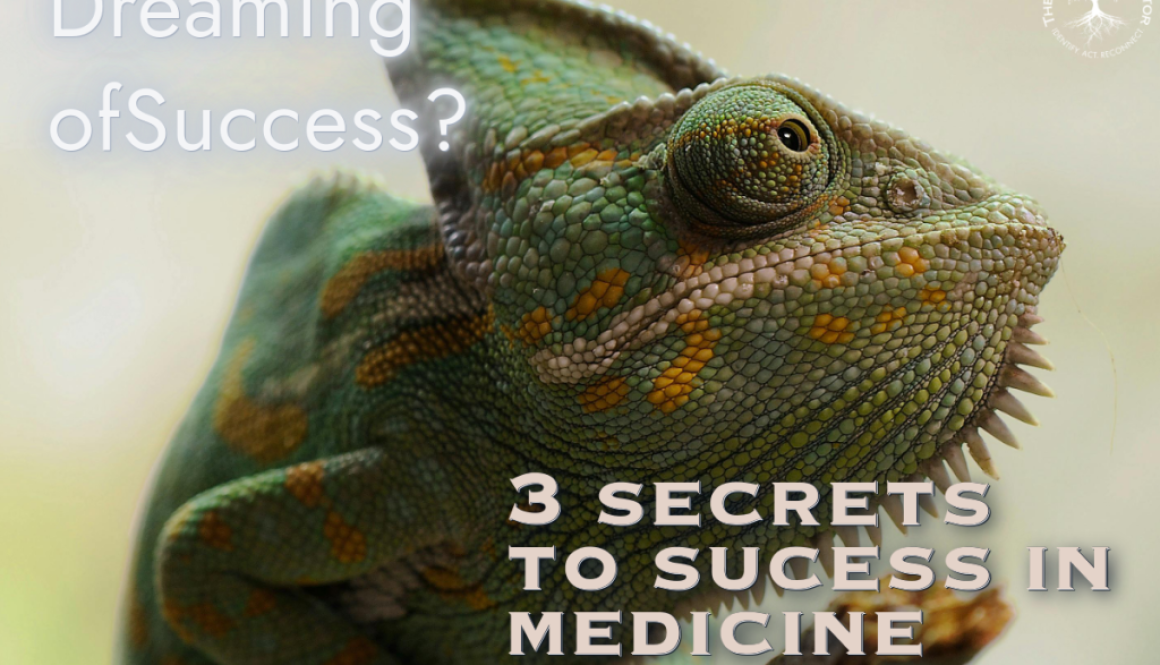 Success in medicine physician coaching the developing doctor