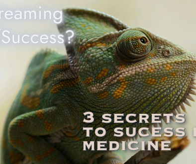 Success in medicine physician coaching the developing doctor